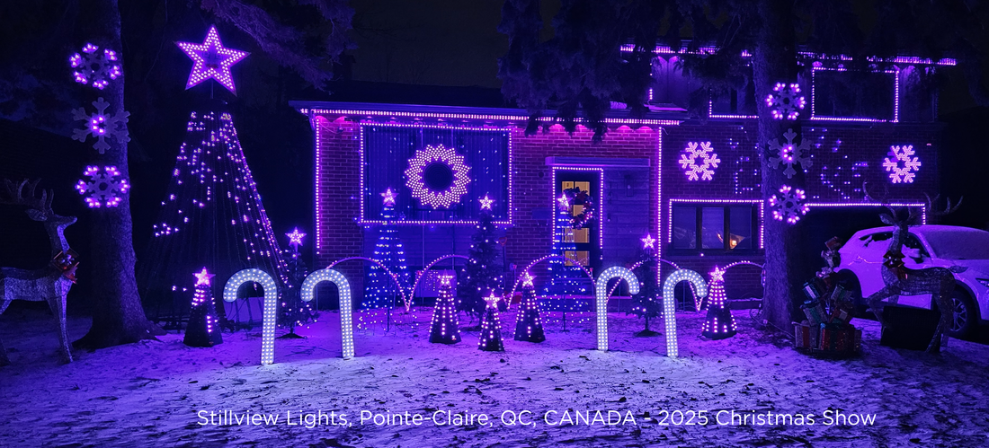 From Zero to Your First Animated Light Show!